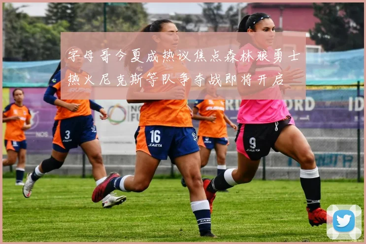 字母哥今夏成热议焦点森林狼勇士热火尼克斯等队争夺战即将开启